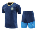 Palmeiras Training Set
