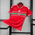 2026 Wales Home World Cup Kit Fan Version