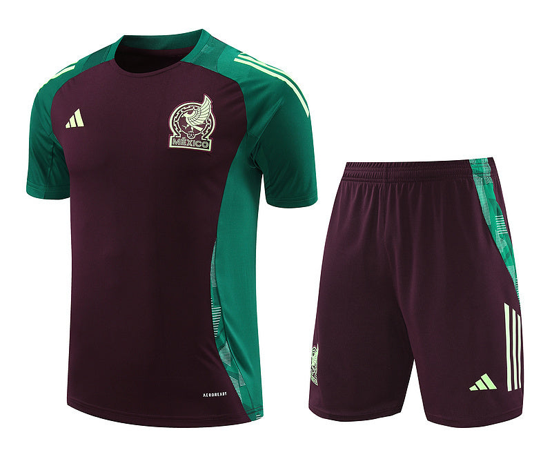 Mexico Training Set