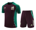Mexico Training Set