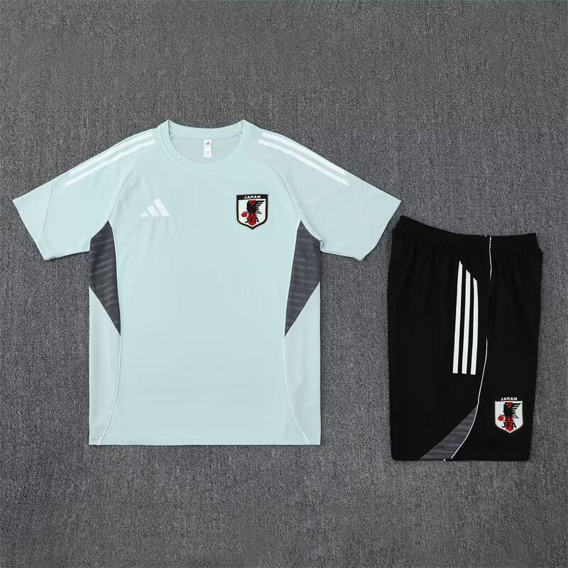 Japan Training Set
