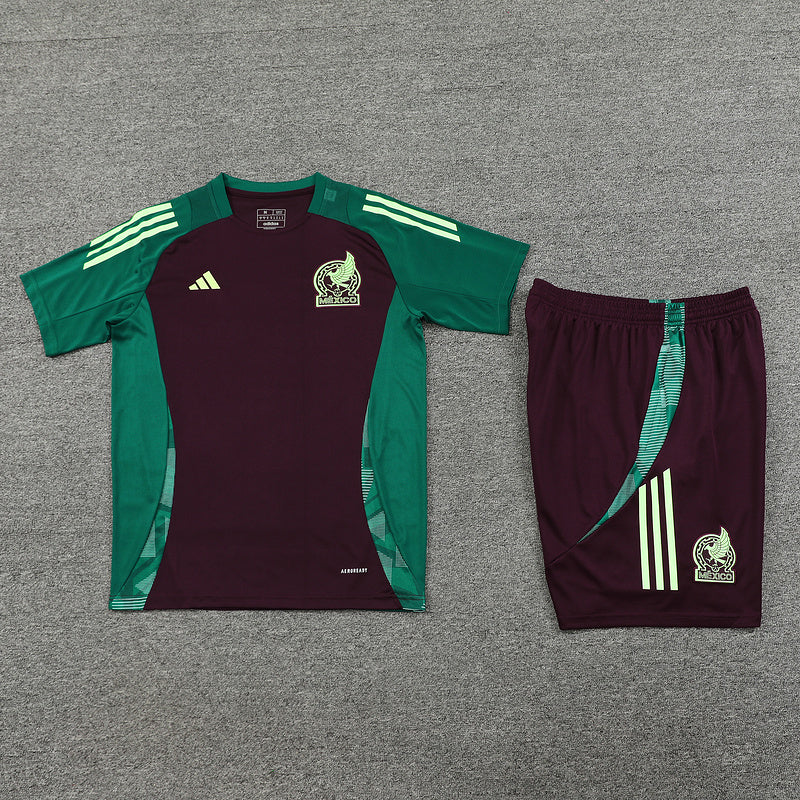 Mexico Training Set