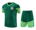 Palmeiras Training Set